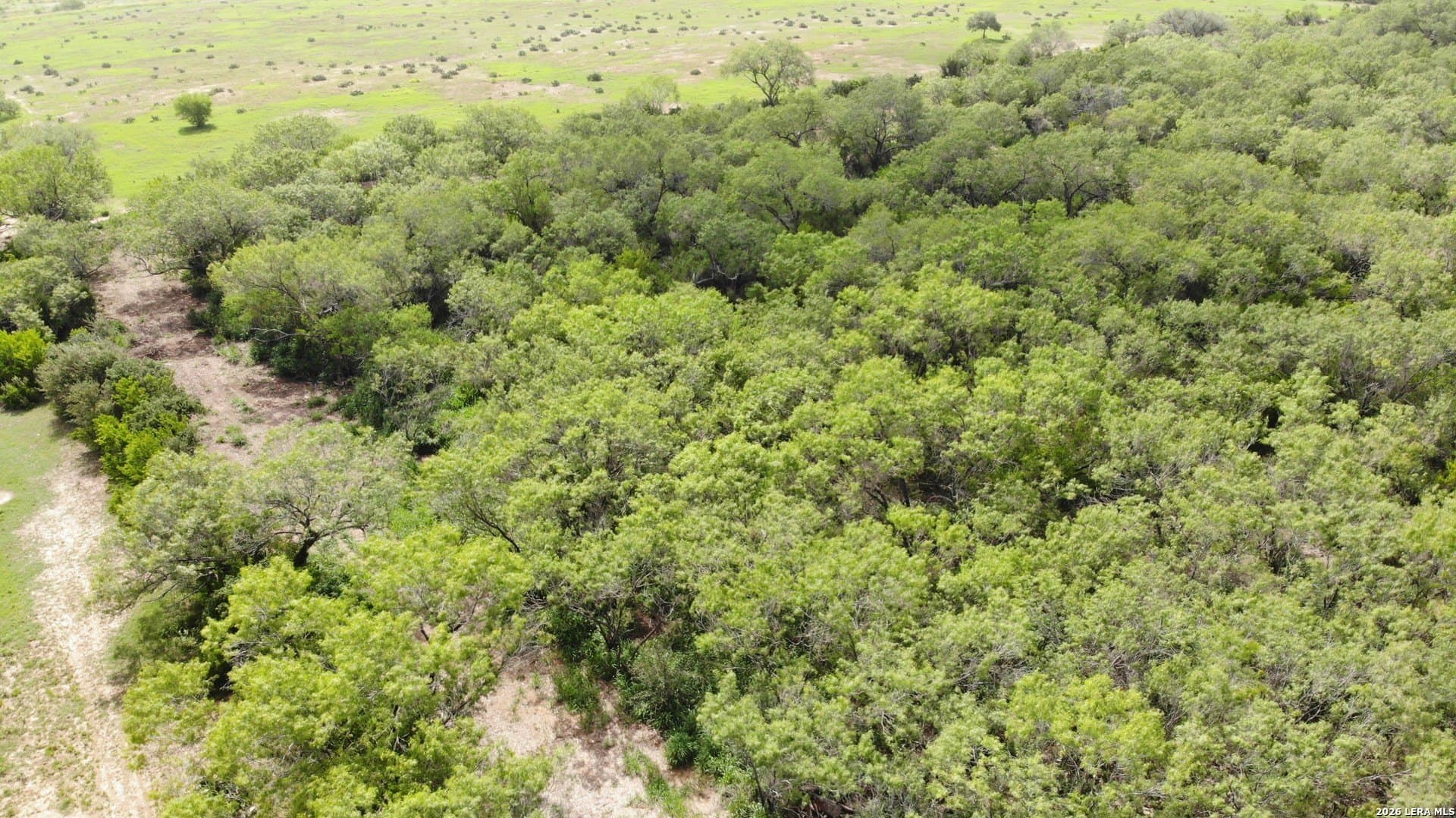 1.93 acres in Atascosa County gallery image 4