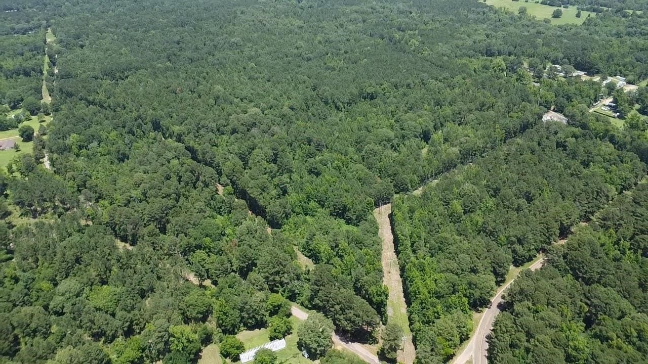 32 acres in Marion County