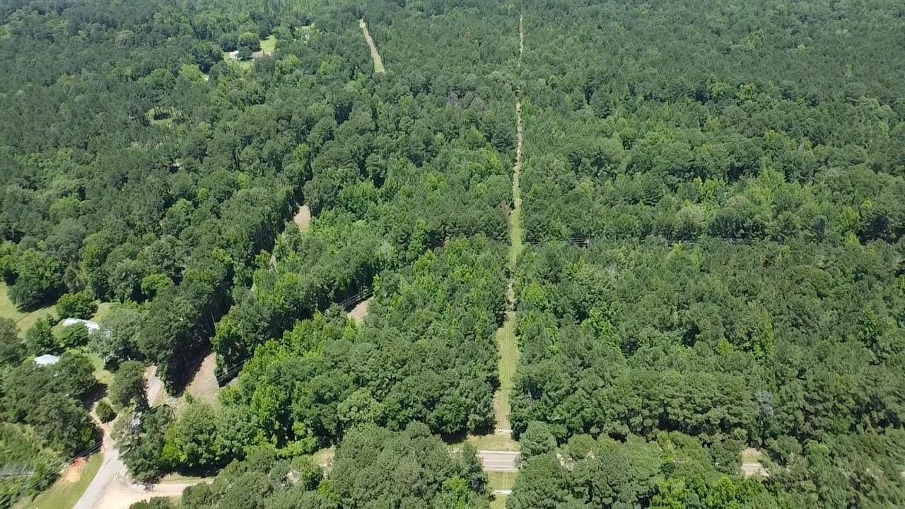 32 acres in Marion County gallery image 2