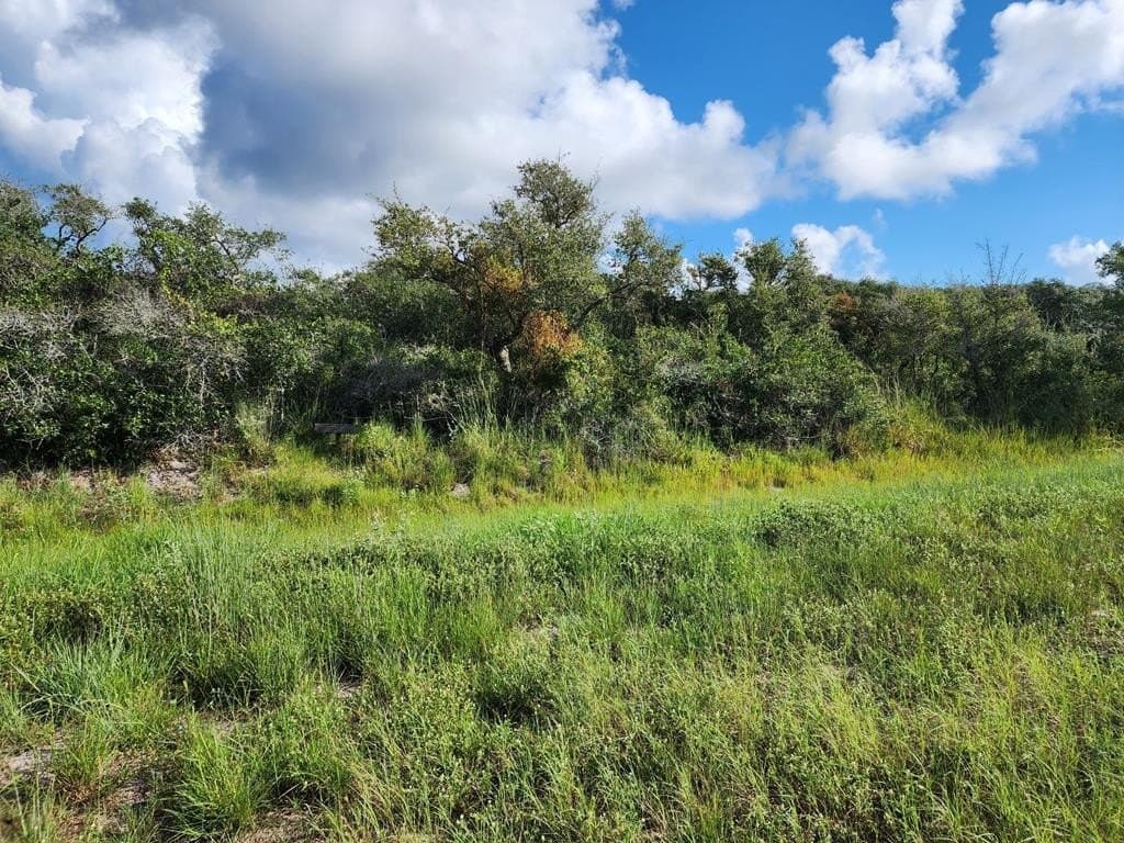 0.29 acres in Texas County gallery image 2