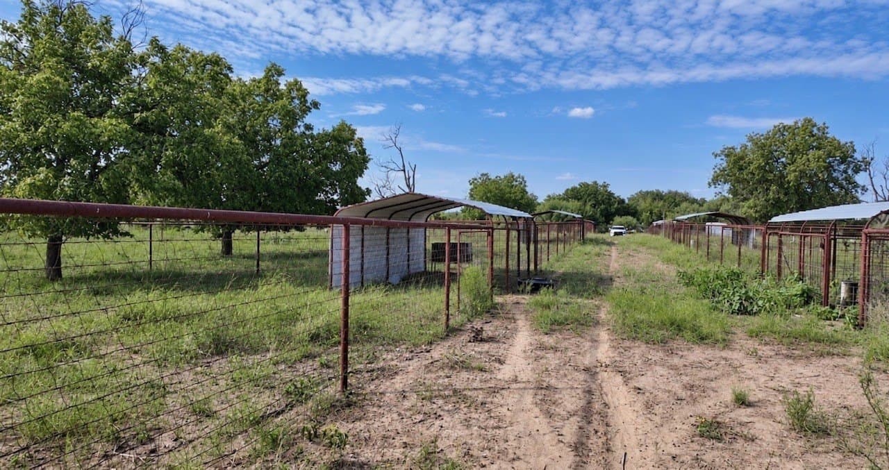 14.02 acres in San Saba County - photo 9