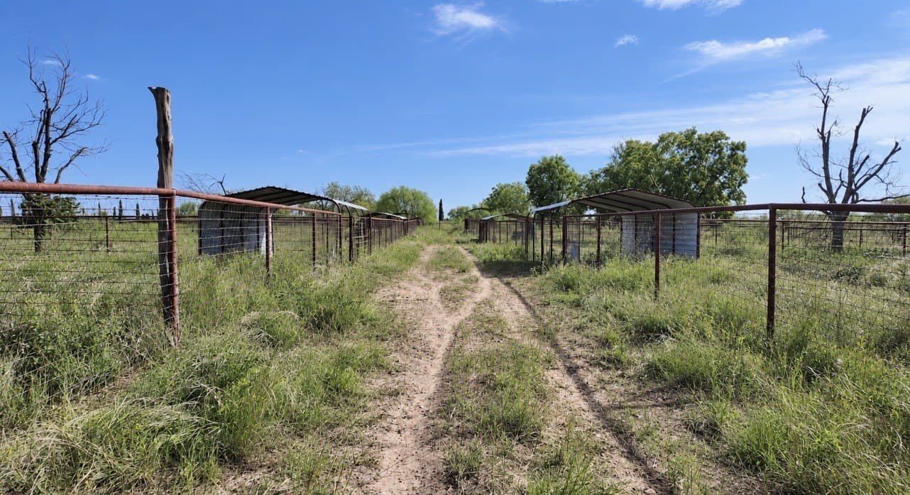 14.02 acres in San Saba County - photo 14
