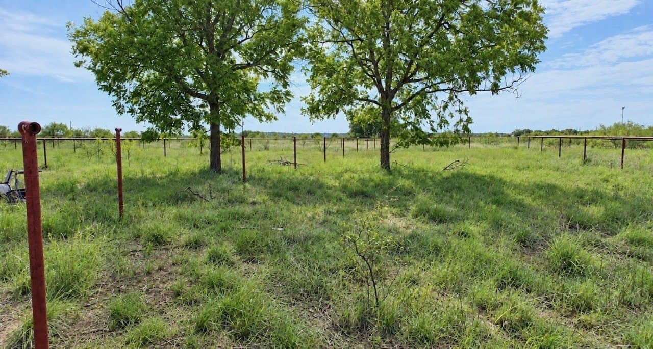 14.02 acres in San Saba County - photo 12