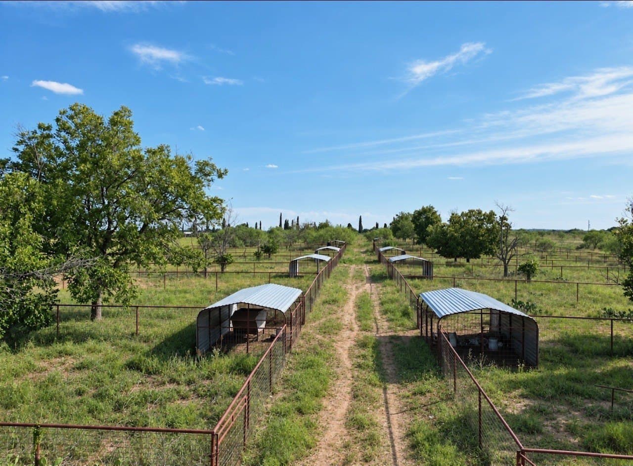 14.02 acres in San Saba County - photo 4