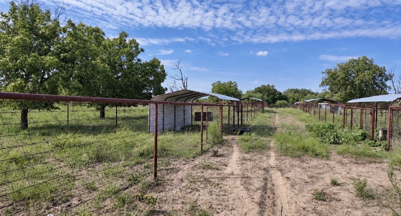 14.02 acres in San Saba County - photo 10