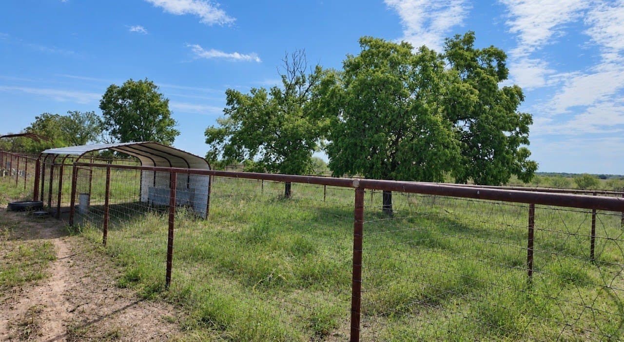 14.02 acres in San Saba County - photo 11