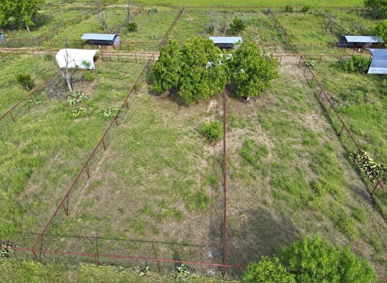 14.02 acres in San Saba County - photo 3