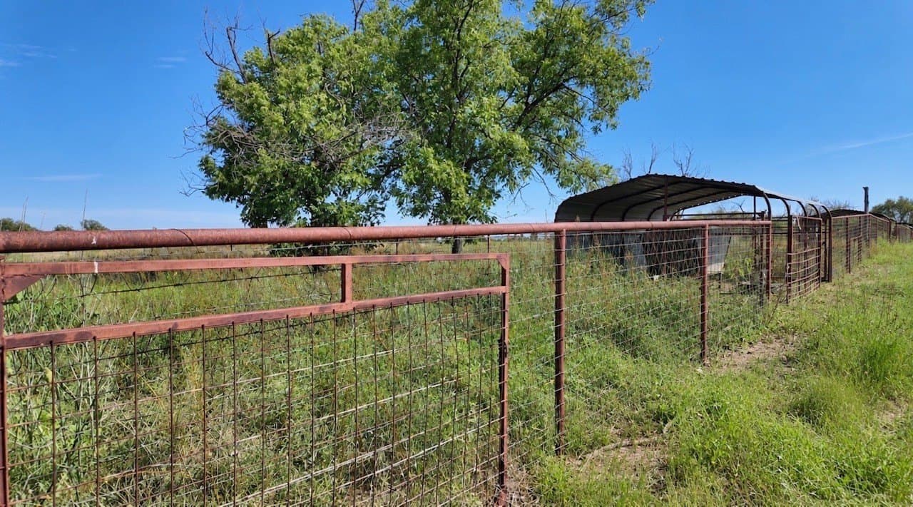 14.02 acres in San Saba County - photo 15