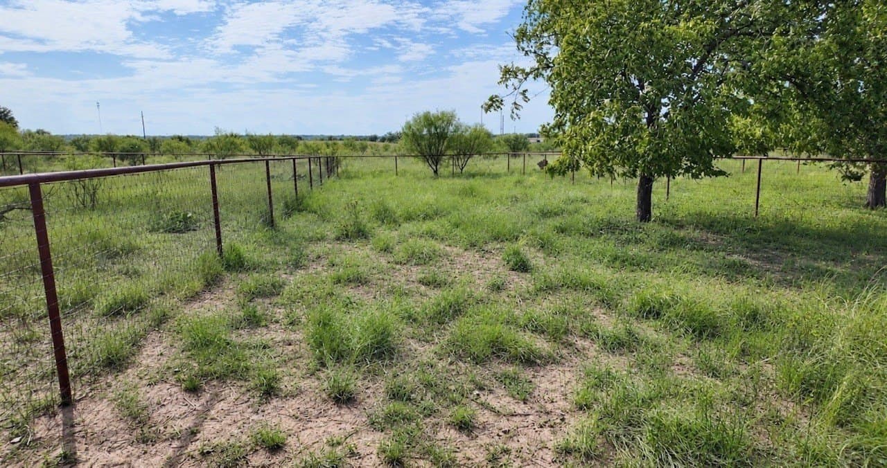 14.02 acres in San Saba County - photo 13