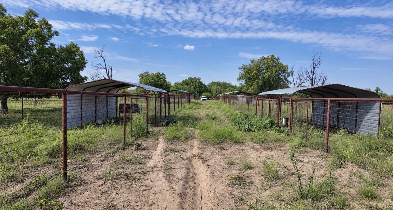 14.02 acres in San Saba County - photo 8