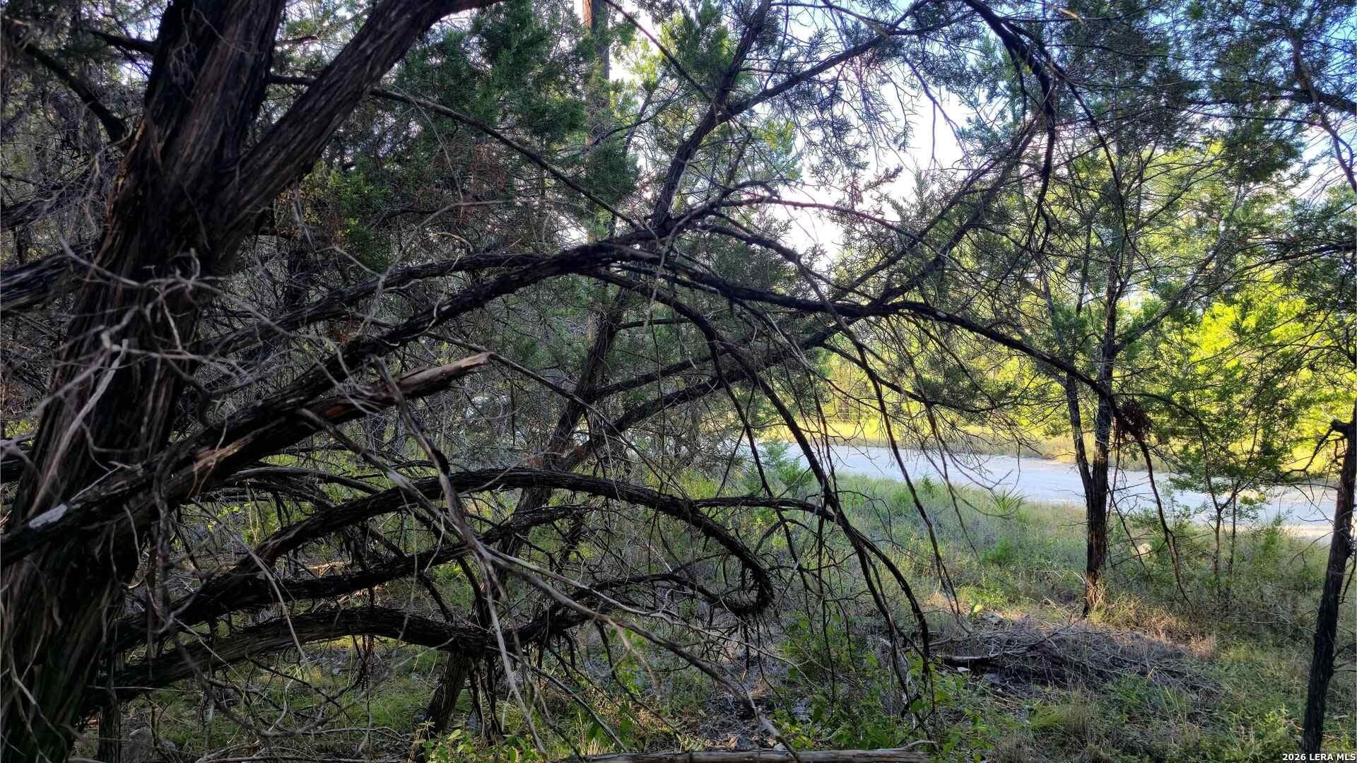 0.31 acres in Comal County - photo 30