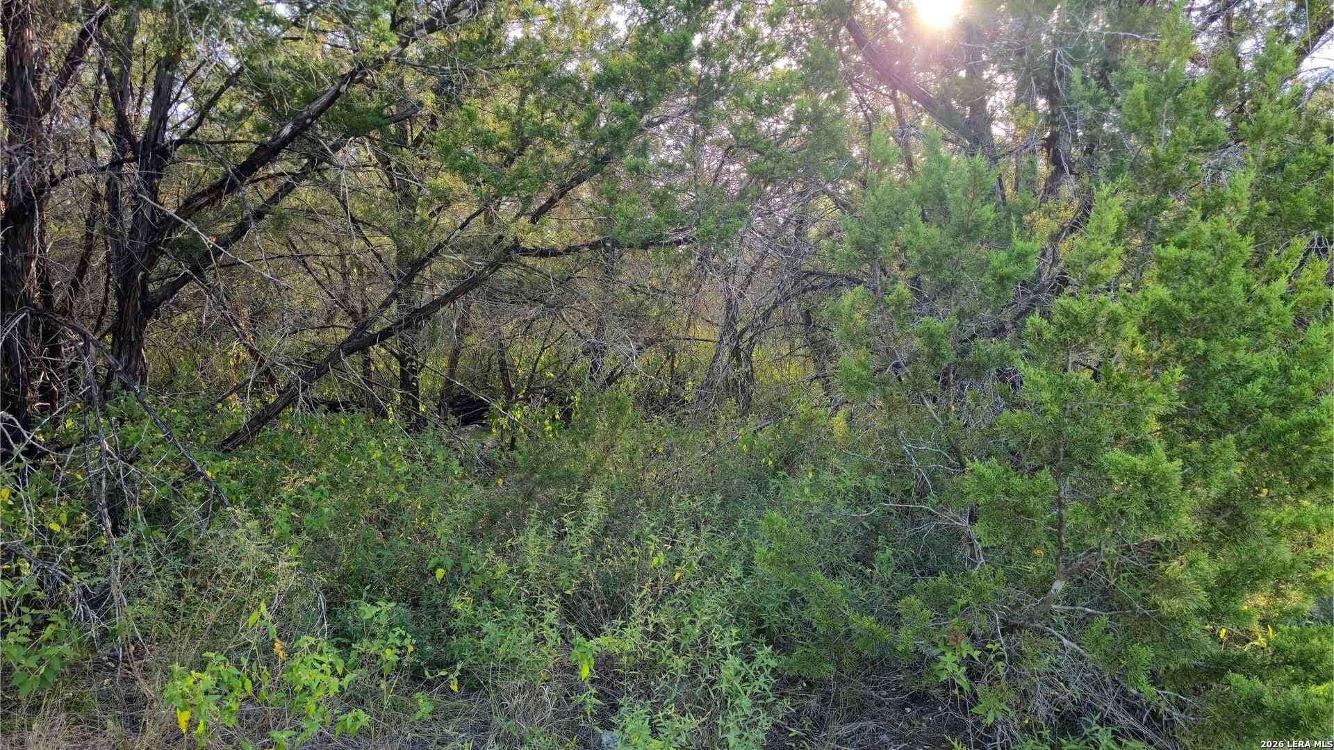 0.31 acres in Comal County - photo 26