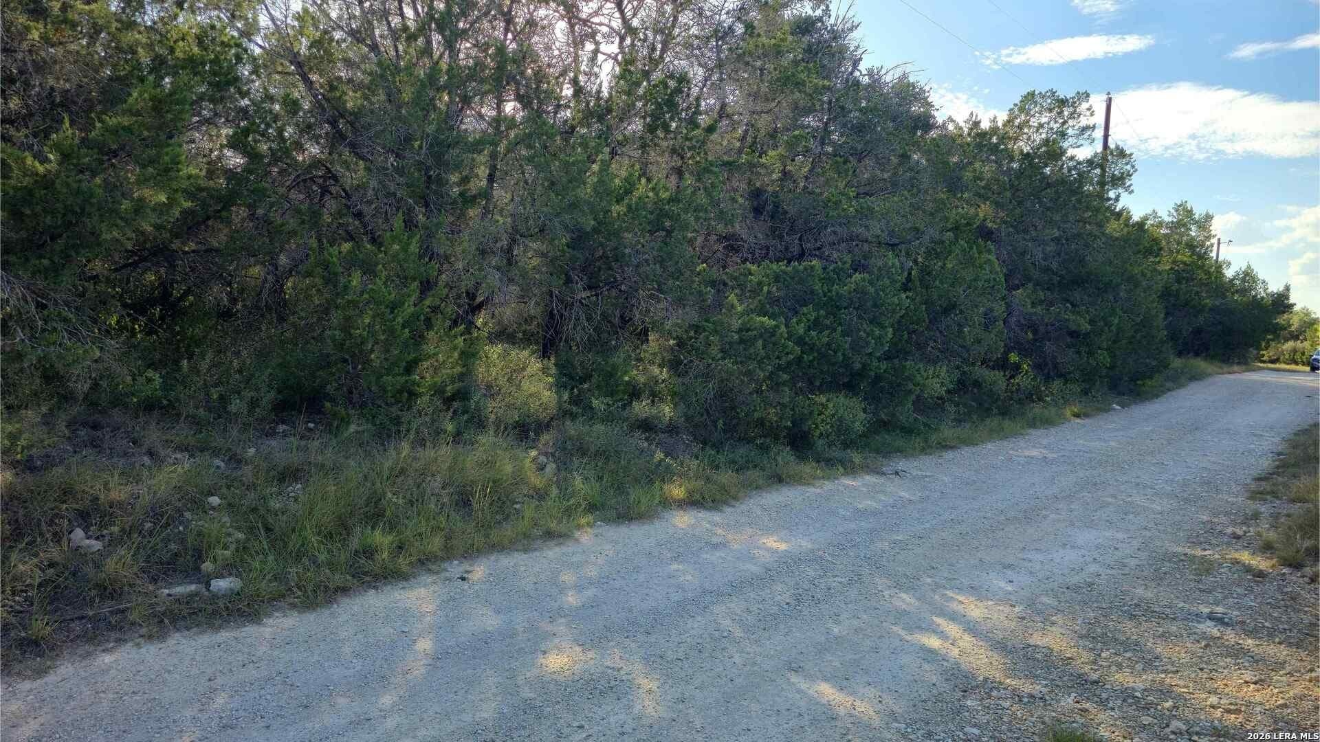0.31 acres in Comal County - photo 4