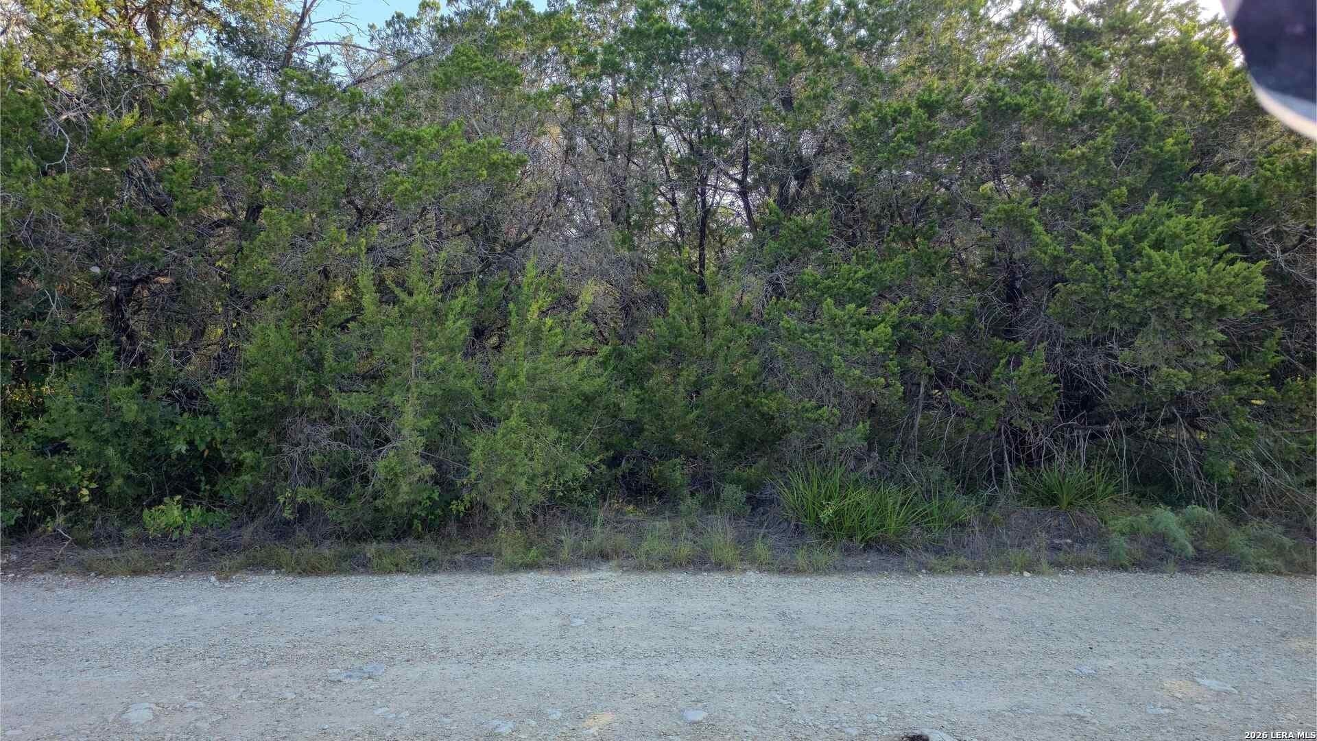 0.31 acres in Comal County - photo 23