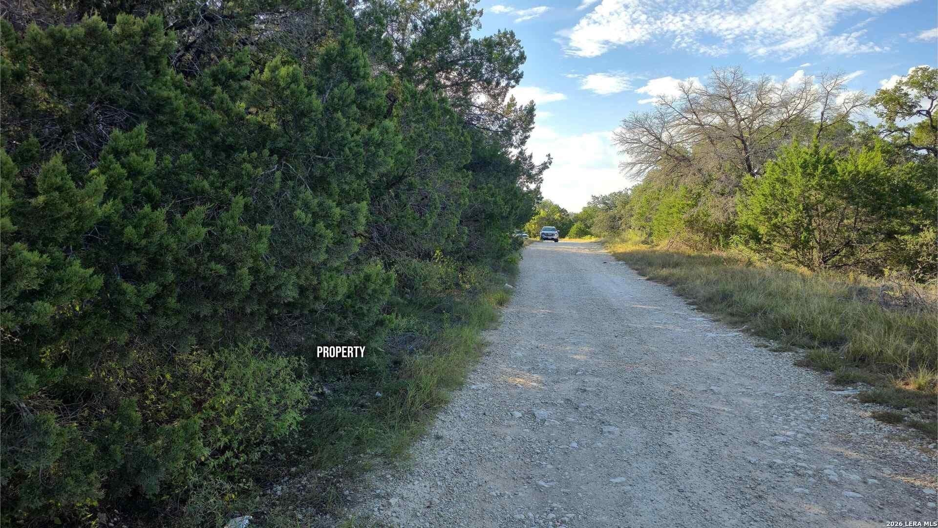 0.31 acres in Comal County - photo 25