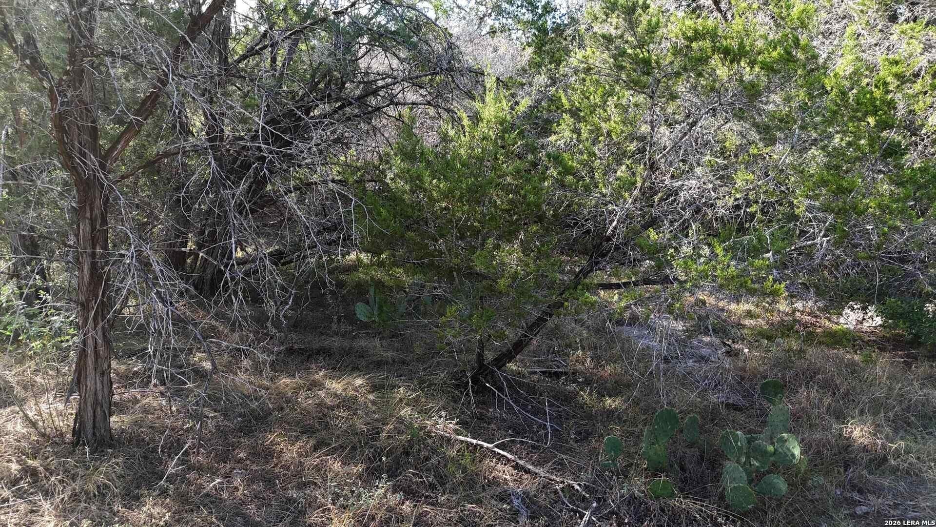 0.31 acres in Comal County - photo 32