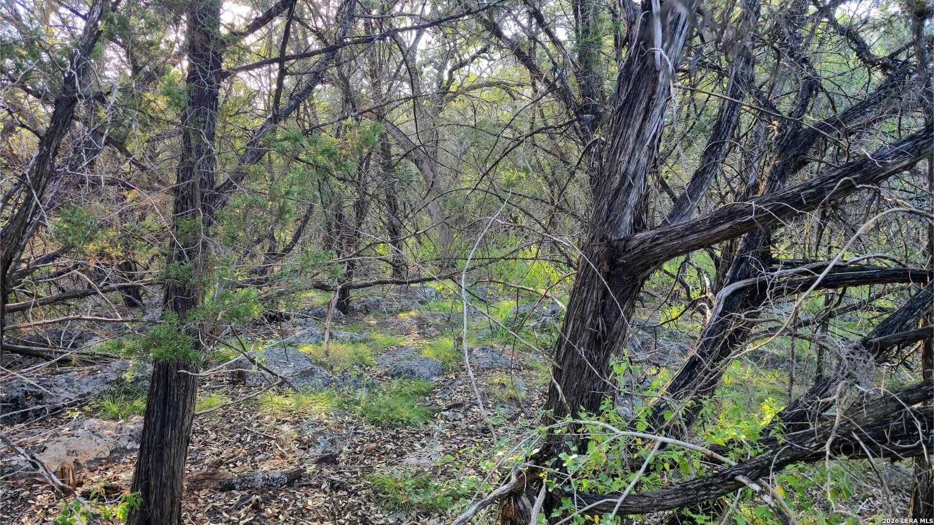 0.31 acres in Comal County - photo 31