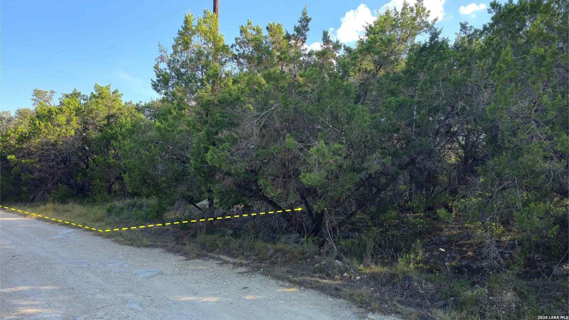 0.31 acres in Comal County - photo 20