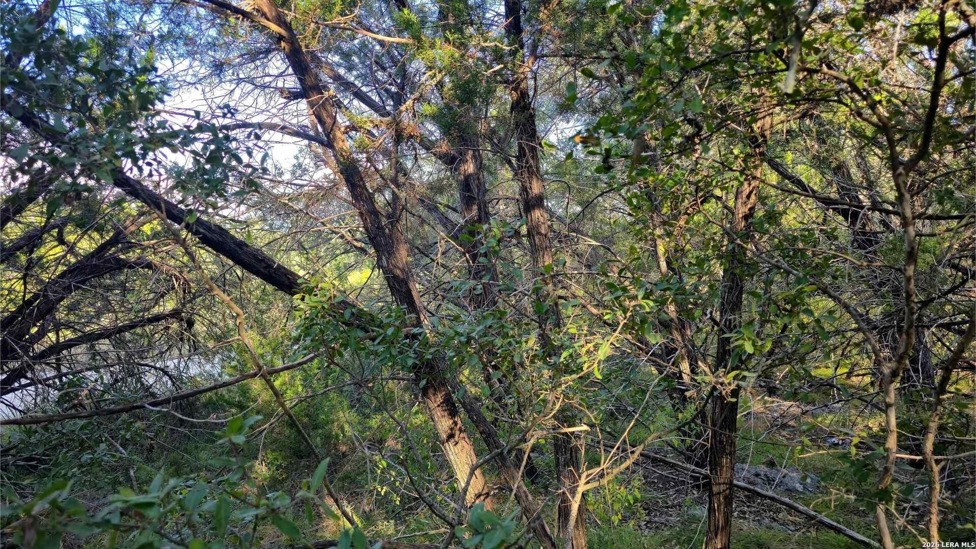 0.31 acres in Comal County - photo 28