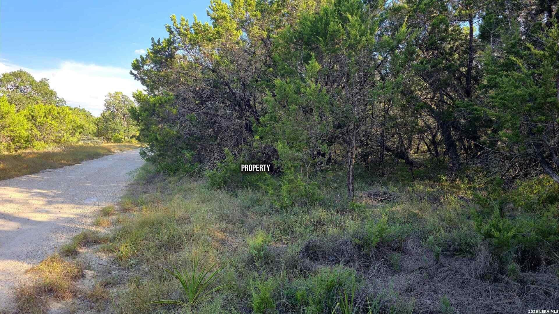 0.31 acres in Comal County - photo 21