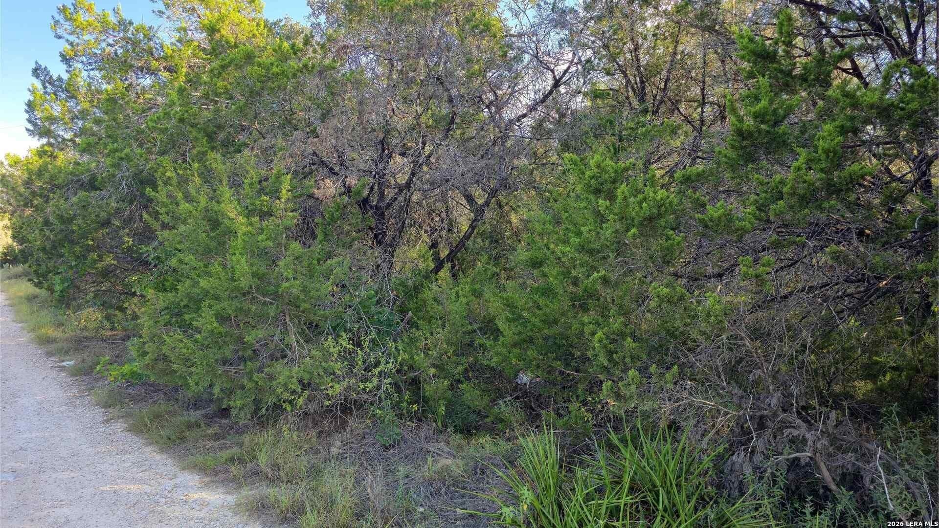 0.31 acres in Comal County - photo 22