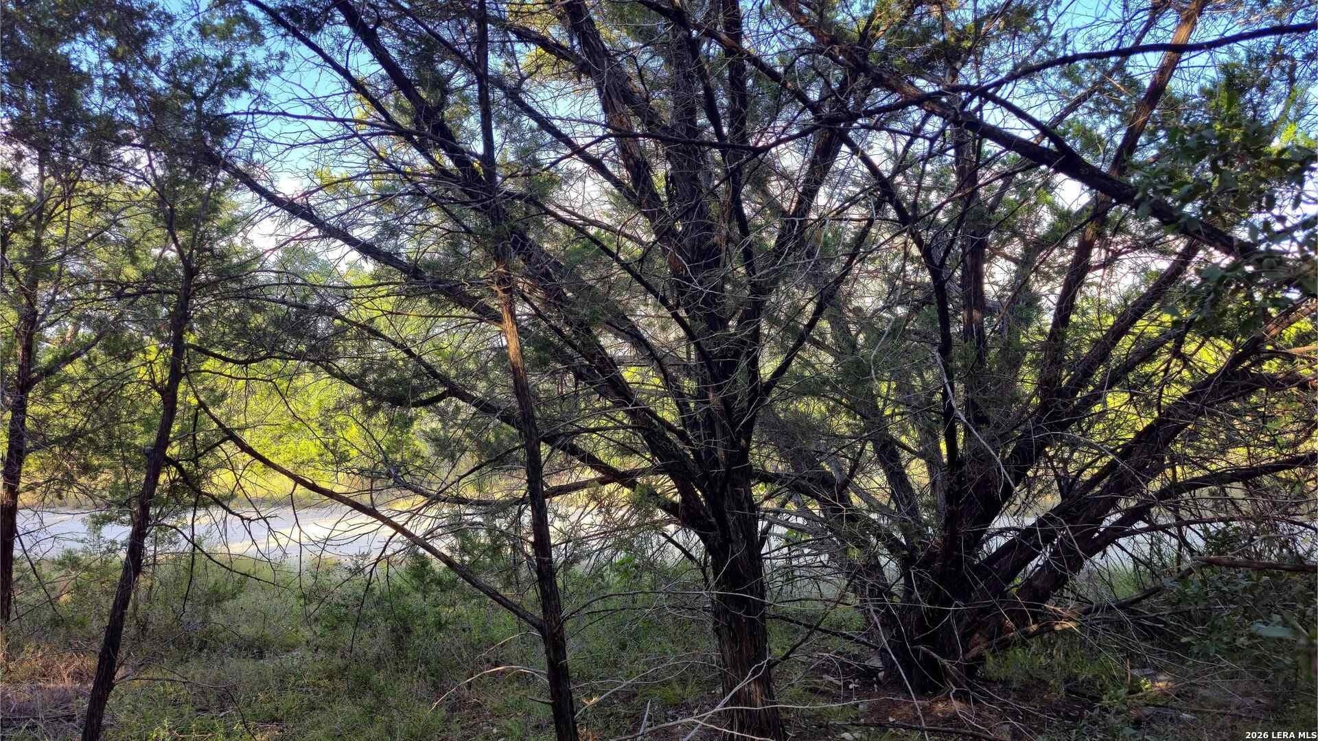 0.31 acres in Comal County - photo 29