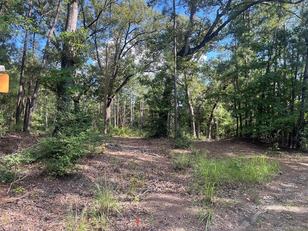 2.44 acres in Texas County