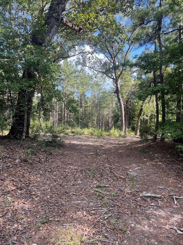 2.44 acres in Texas County gallery image 2