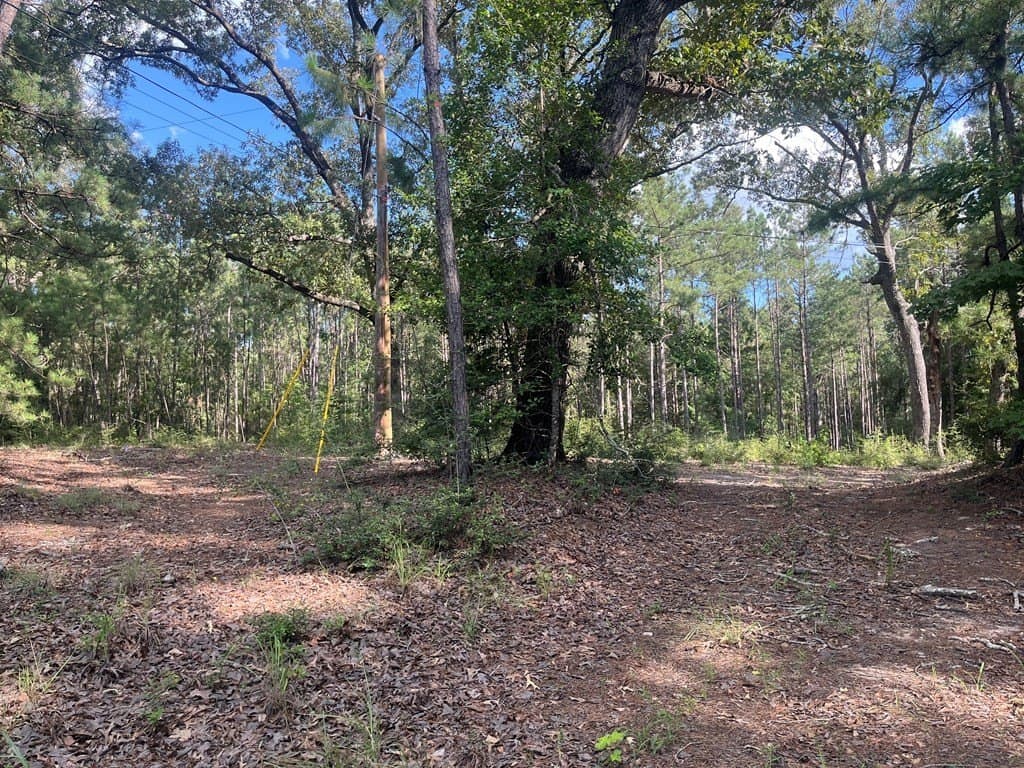 2.44 acres in Texas County gallery image 3