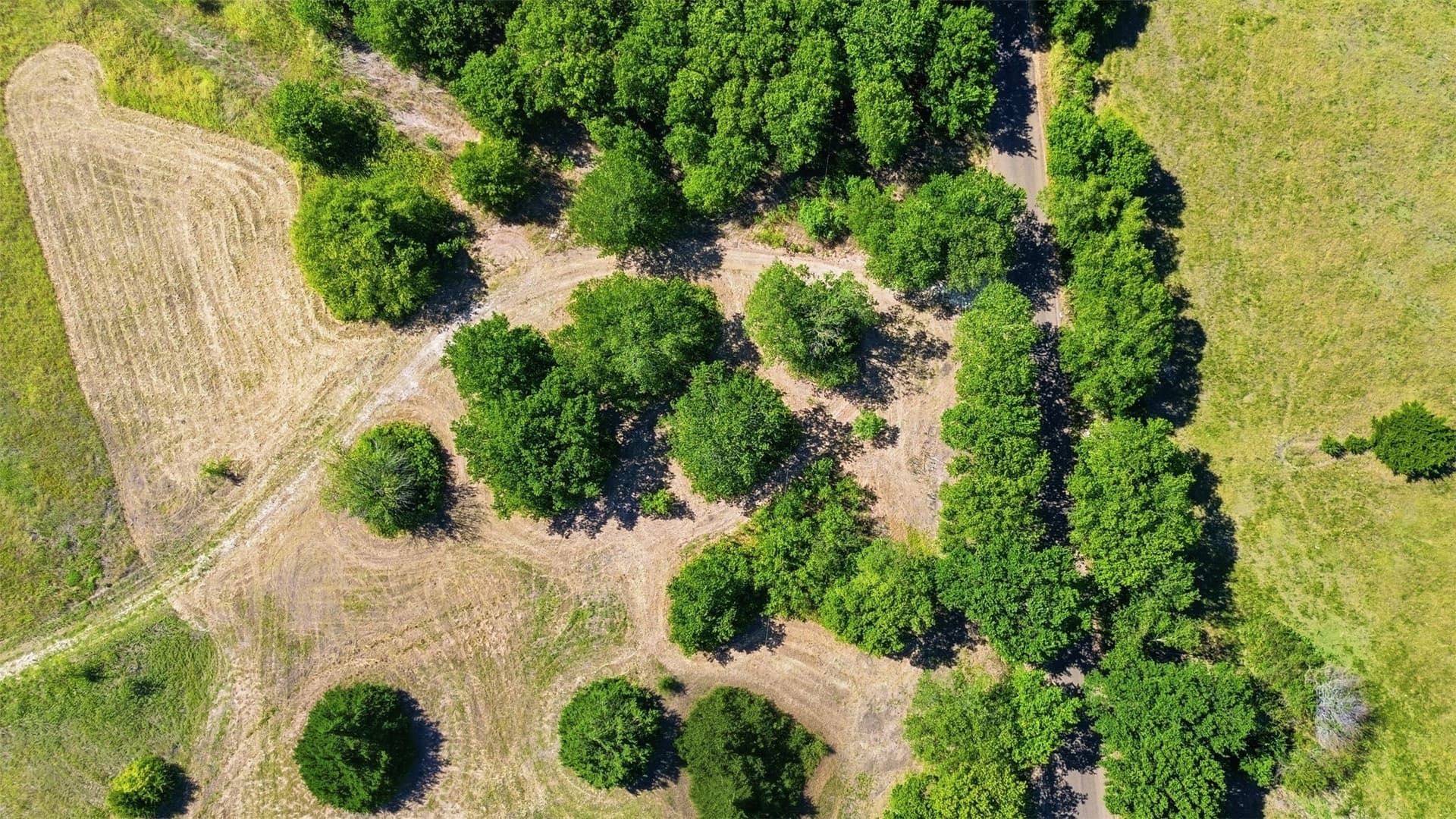 1 acres in Ellis County gallery image 2