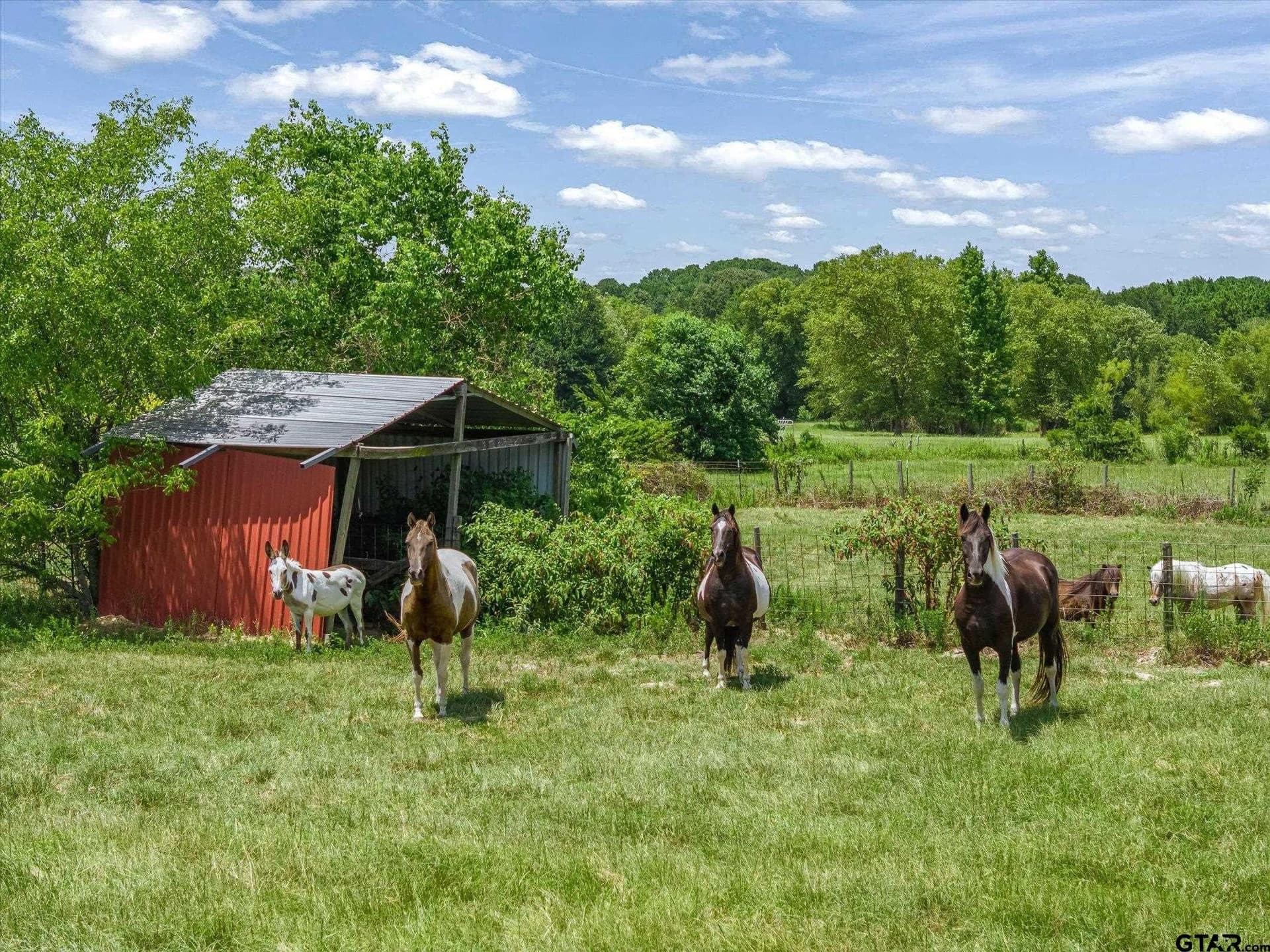 13.12 acres in Van Zandt County - photo 33