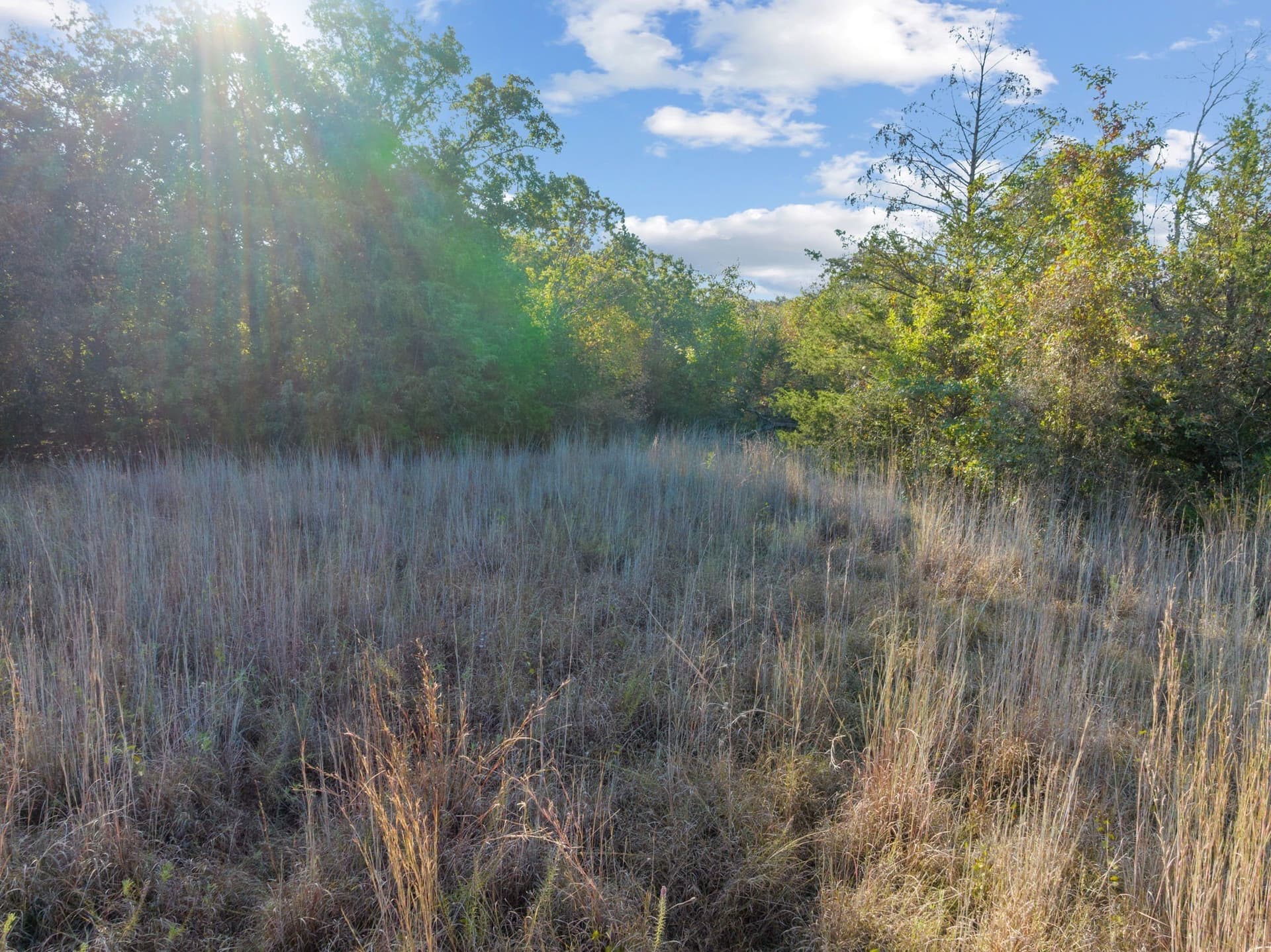3.39 acres in Parker County - photo 11
