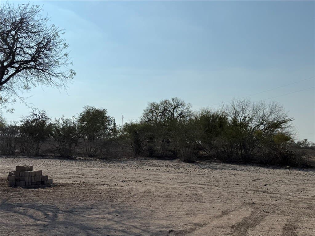 20 acres in Live Oak County - photo 10