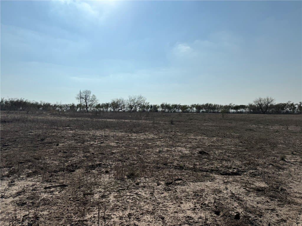 20 acres in Live Oak County - photo 16