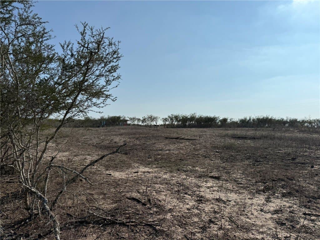 20 acres in Live Oak County - photo 15