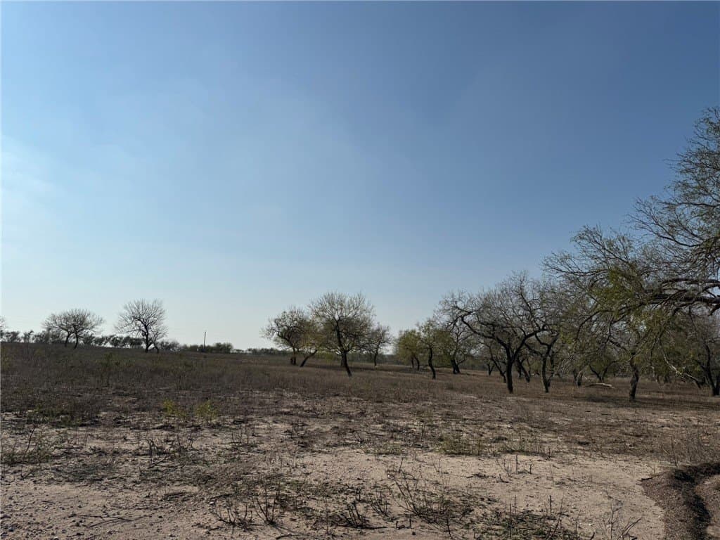 20 acres in Live Oak County - photo 14