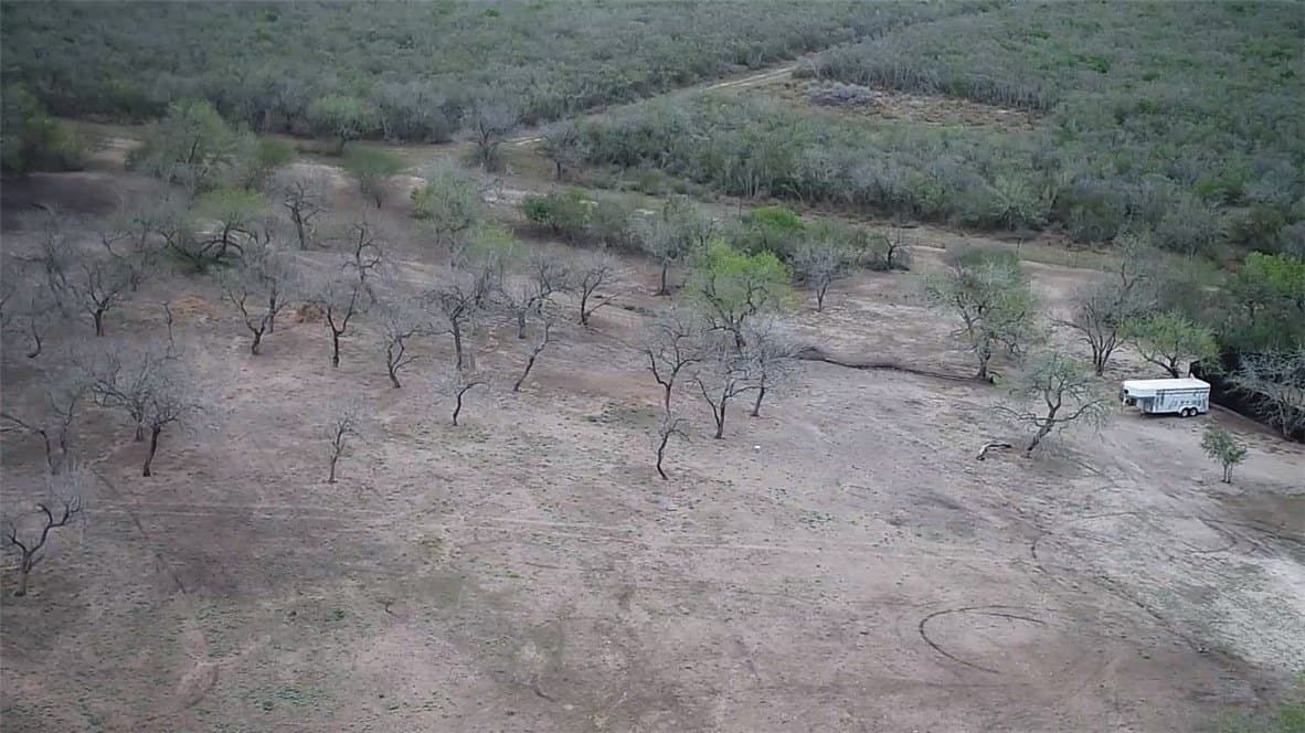 20 acres in Live Oak County - photo 16
