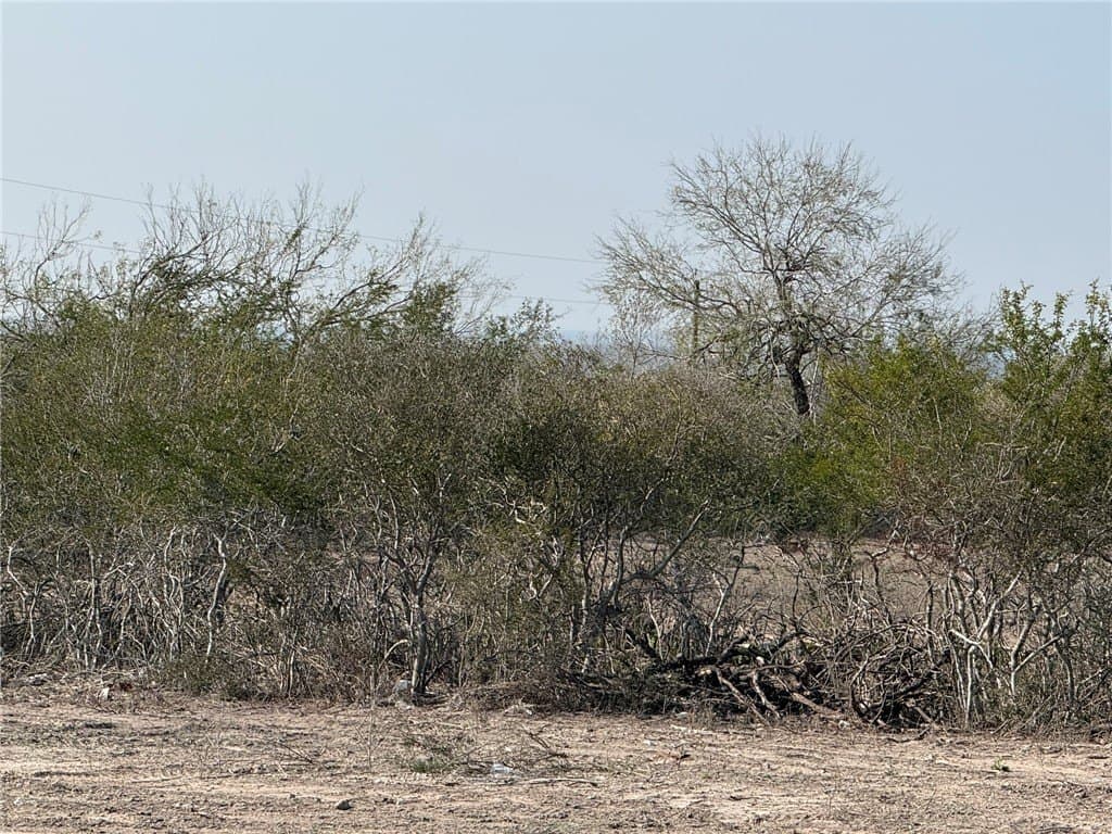 20 acres in Live Oak County - photo 9