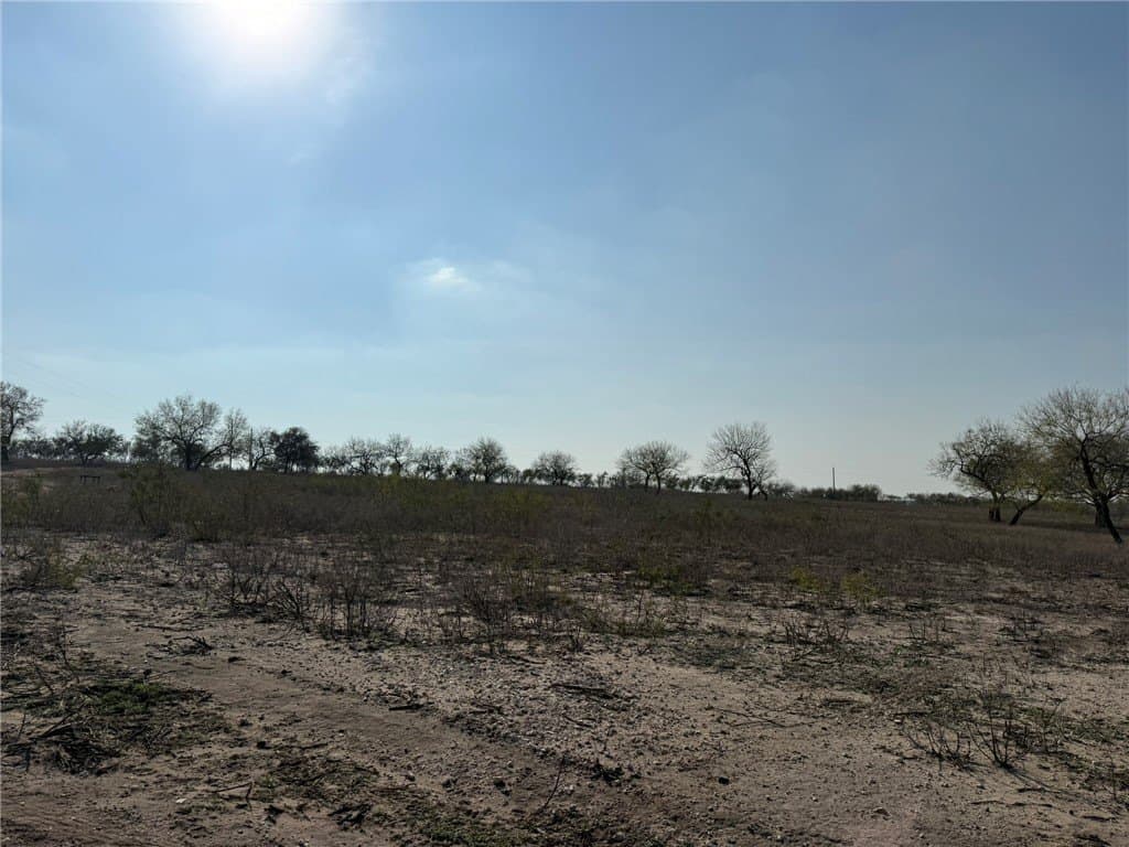 20 acres in Live Oak County - photo 13