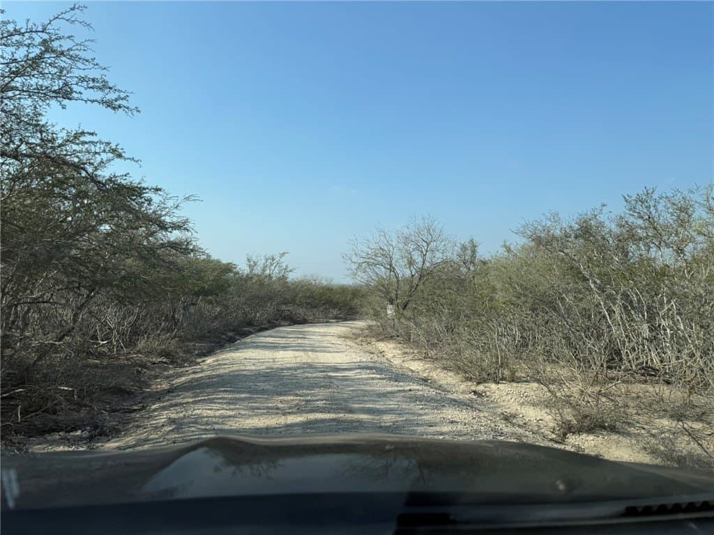 20 acres in Live Oak County gallery image 2