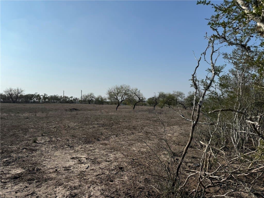 20 acres in Live Oak County - photo 17