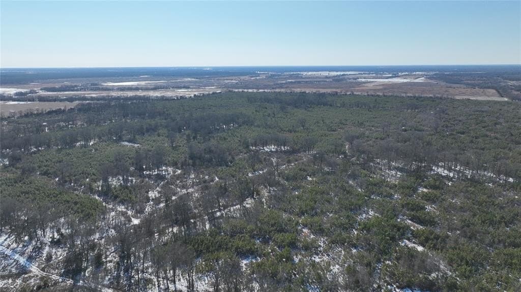 80.65 acres in Red River (TX) County