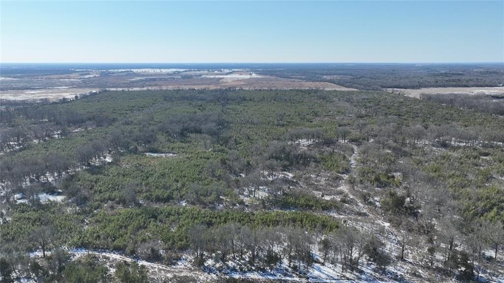 80.65 acres in Red River (TX) County featured view