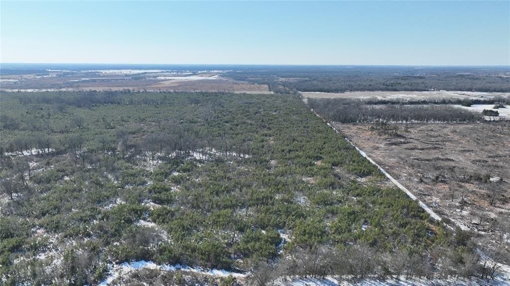 80.65 acres in Red River (TX) County gallery image 3