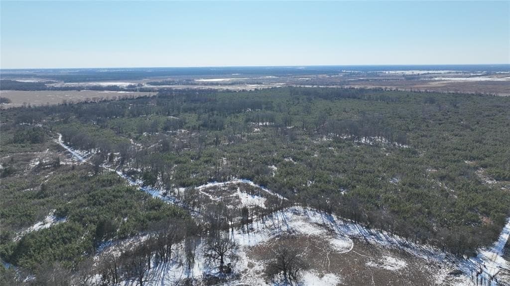 80.65 acres in Red River (TX) County gallery image 2