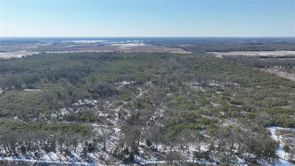 80.65 acres in Red River (TX) County gallery image 4