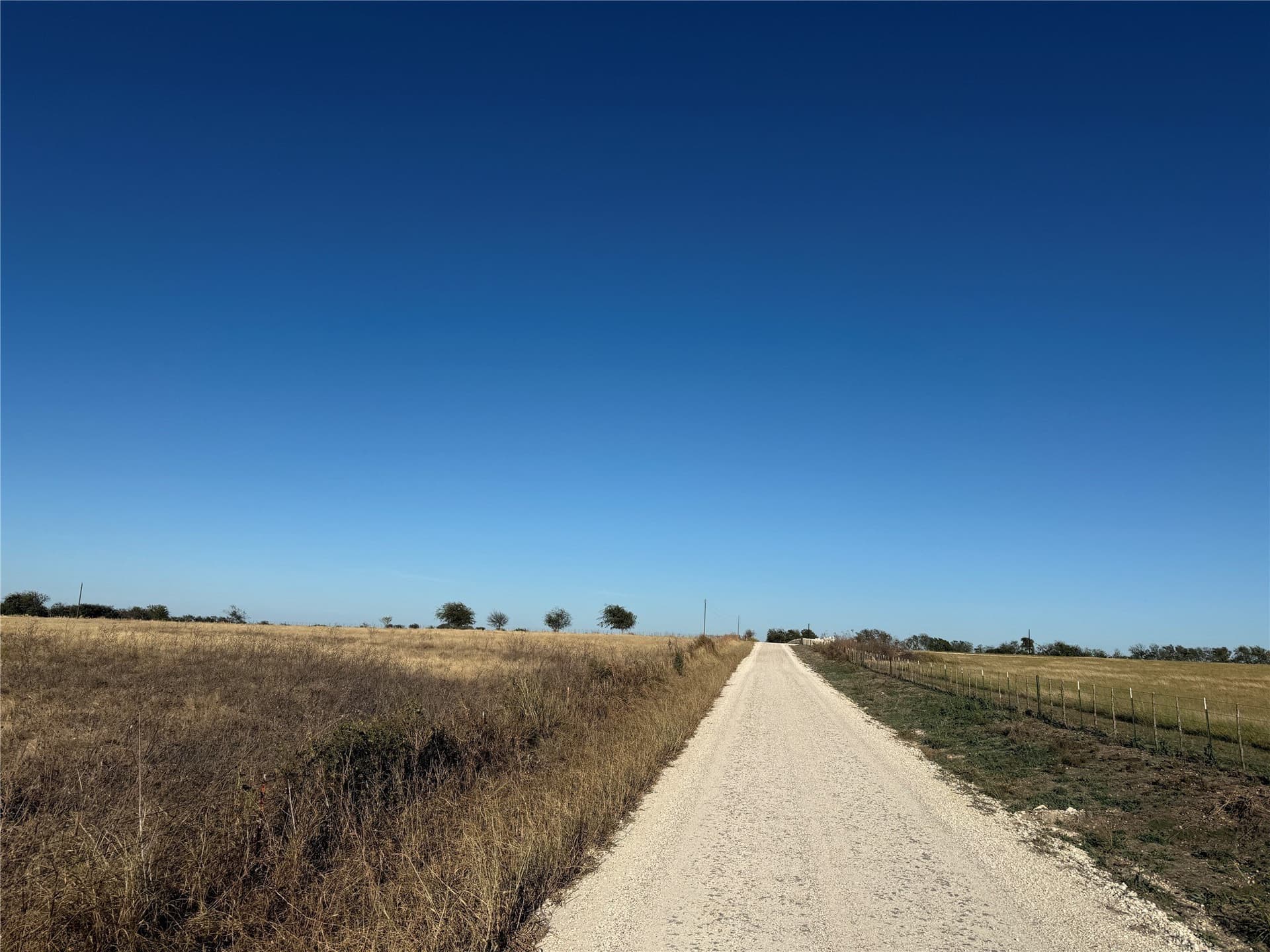 45.23 acres in Coryell County gallery image 3