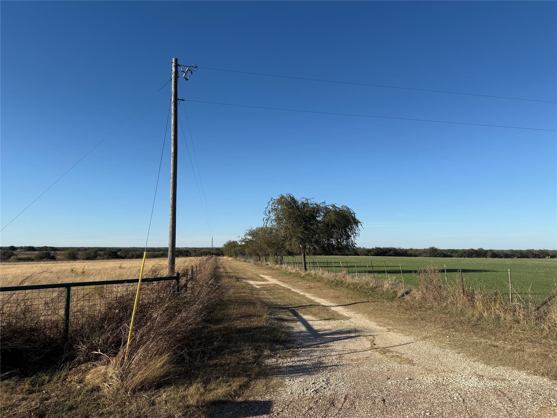 45.23 acres in Coryell County gallery image 4