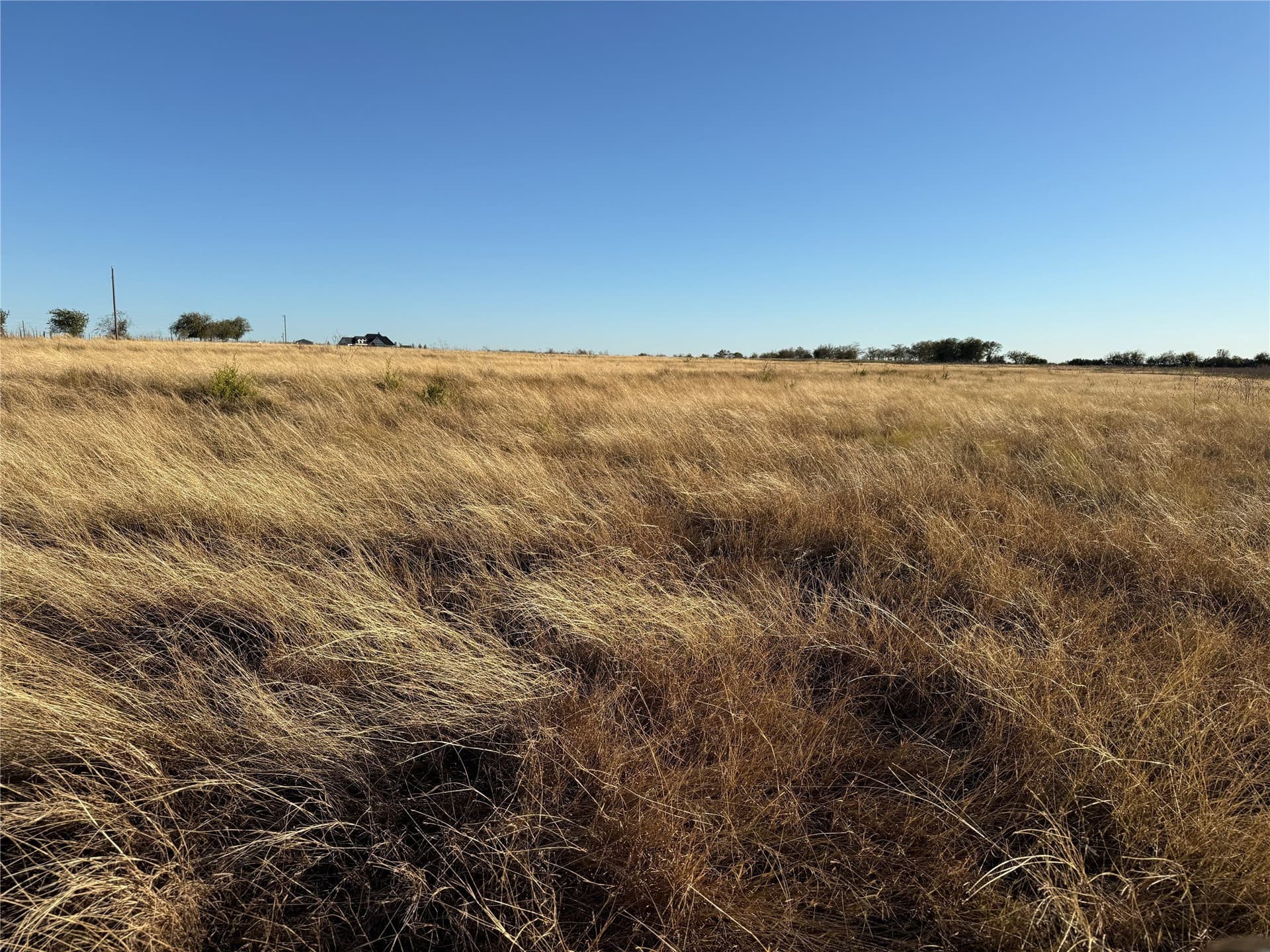 45.23 acres in Coryell County - photo 8