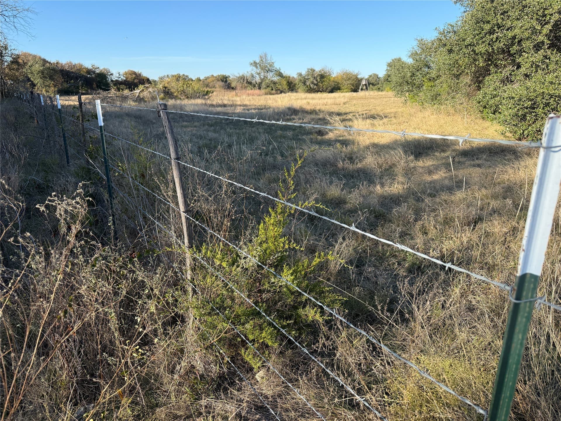 45.23 acres in Coryell County featured view